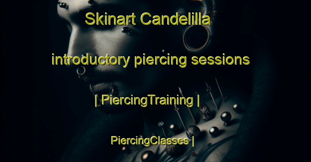 Skinart Candelilla introductory piercing sessions | PiercingTraining | PiercingClasses | SkinartTraining-Mexico